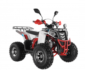 Квадроцикл Wels ATV THUNDER EVO 125 Х s-dostavka Белый - магазин СпортДоставка. Спортивные товары интернет магазин в Альметьевске 